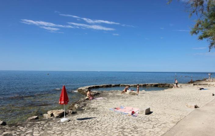 Apartman Onaon Novigrad  Exterior photo